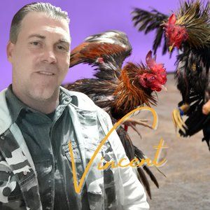 Meet your Posher, Vincent